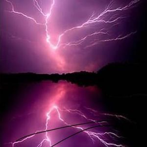 Meet your Posher, Frances